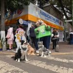 Dr. Simi inaugura SimiPet Care, la Veterinaria más accesible de México